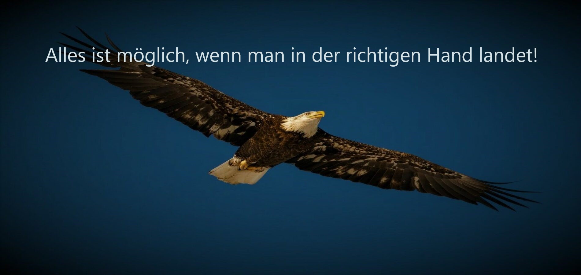 DIENSTPOWER