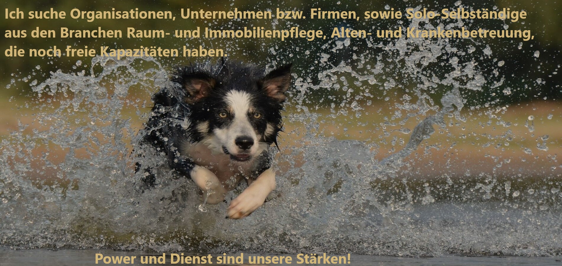 DIENSTPOWER